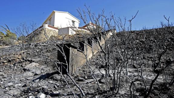 La carretera de Les Planes, reabierta tras estabilizarse el incendio del Montgó