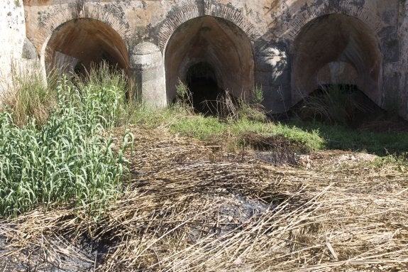 Maleza acumulada en el río Sellent a su paso por Cárcer, una de las zonas que preocupa a los vecinos ante el riesgo de riadas. :: D. Torres