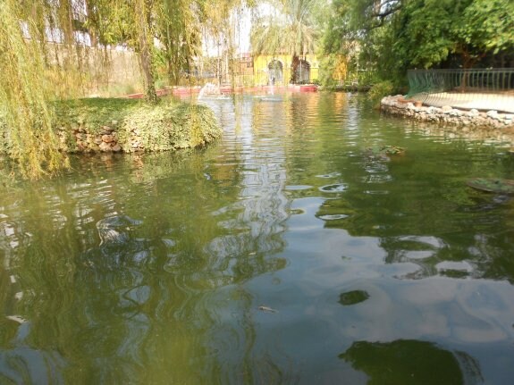 El estanque afectado por el acto vandálico, tras la retirada de los peces. :: lp