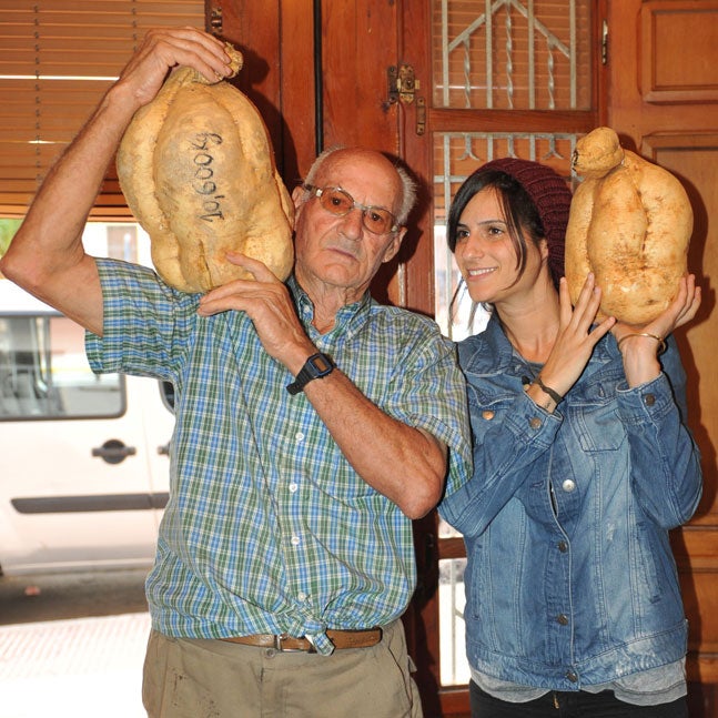 El agricultor con dos de los boniatos.