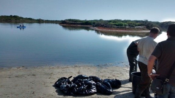 Los técnicos municipales retiran los peces muertos del lago. :: lp