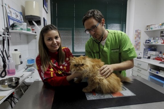 La Universitat ofertará la carrera de Veterinaria dentro de dos cursos