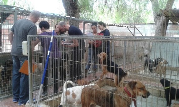 Alemania ayuda a la protectora