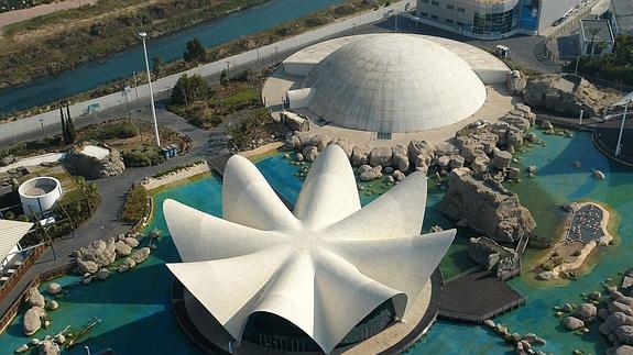 Vista aérea de l'Oceanogràfic.