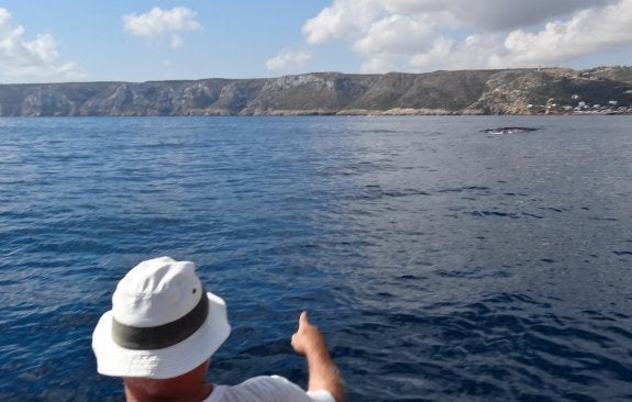 Uno de los participantes en la salidas del voluntariado durante el avistamiento de ballenas rorcuales en la costa de Dénia. :: lp