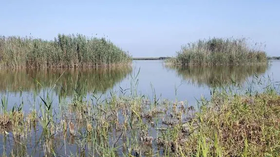 VIsta de la Albufera.