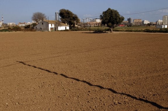 Uno de los campos preparados para el cultivo en la huerta de Campanar. :: irene marsilla