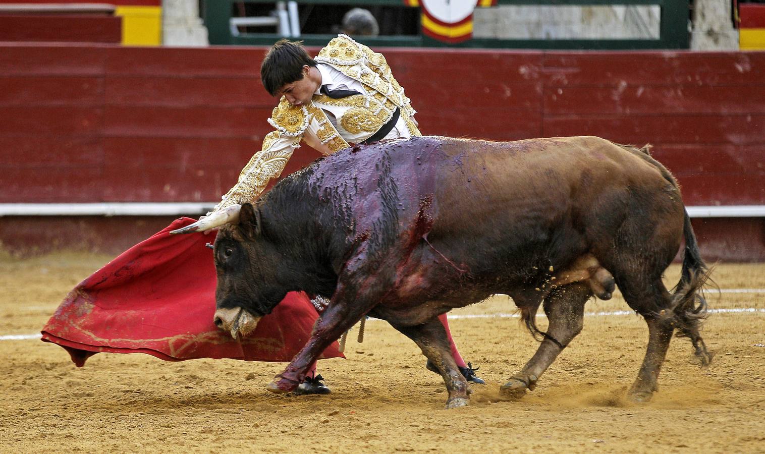 El novillero madrileño Fancisco José Espada durante su faena con la muleta a "Trampero", de la ganadería de López Gibaja.