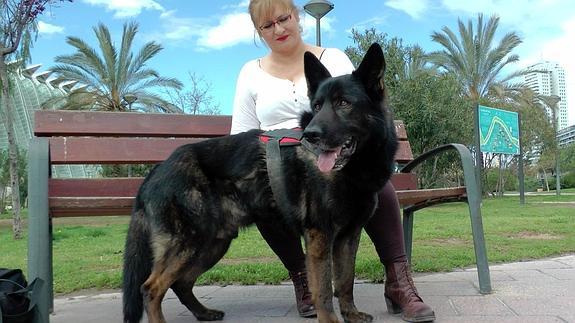 Los perros policía jubilados pueden adoptarse a través de una plataforma creada por un agente del CNP