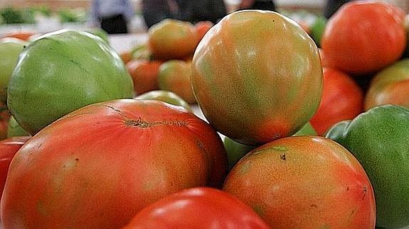 El Perelló subasta el primer lote del «mejor tomate del mundo» de la temporada