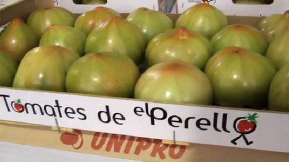 Subasta solidaria del primer lote del tomate de El Perelló.