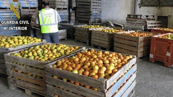 La fruta camuflada.