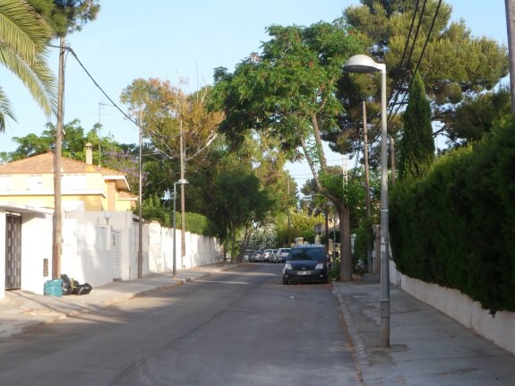 Las farolas nuevas, en una calle de La Canyada. :: lp