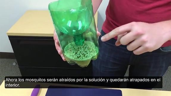 Trampa casera para librarte de los mosquitos este verano