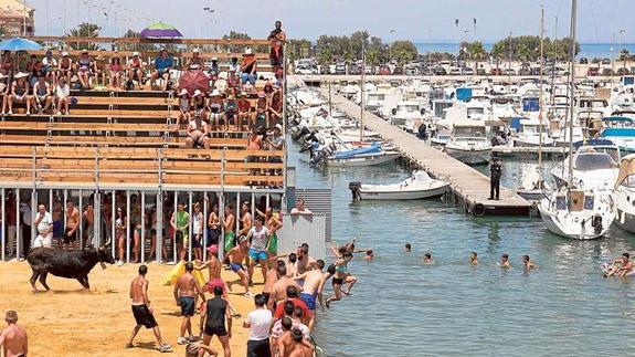 Decenas de aficionados participan cada año en 'los bous a la mar' de Dénia.