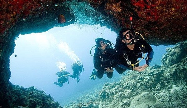 Un grupo de buceadores descubre la flora y la fauna mediterránea.