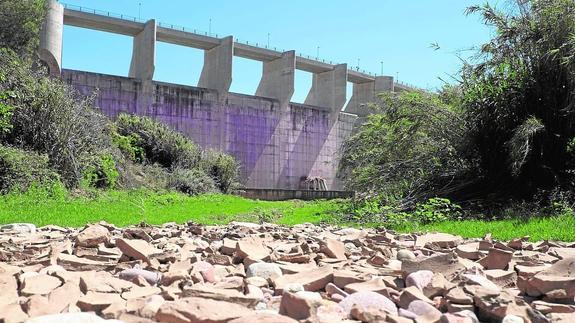 El pantano de Algar, en una imagen de finales de junio.