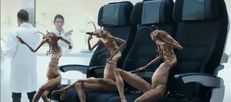 Imagen del vídeo promocional de la aerolínea Air New Zealand.