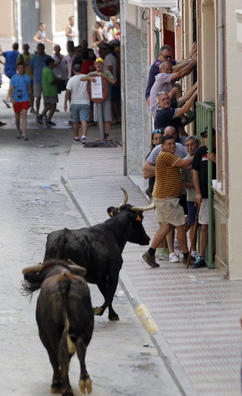 Vaquillas en los festejos de Silla de este verano. :: j. j. monzó