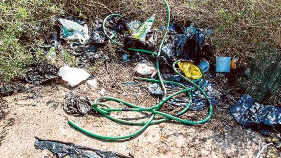 La quema de maleza muestra la parte menos amable de la Albufera. Restos de basura se esconden en la superficie del parque natural.