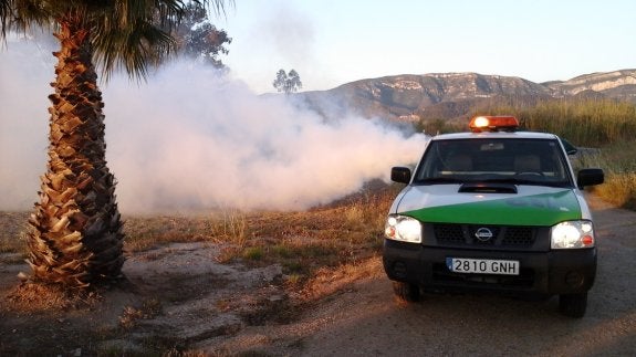 Cullera amplía a septiembre los tratamientos contra el mosquito tigre