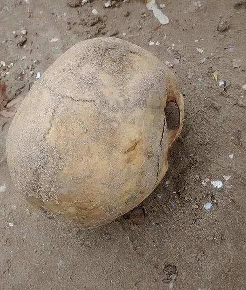 Los huesos encontrados en La Patacona.