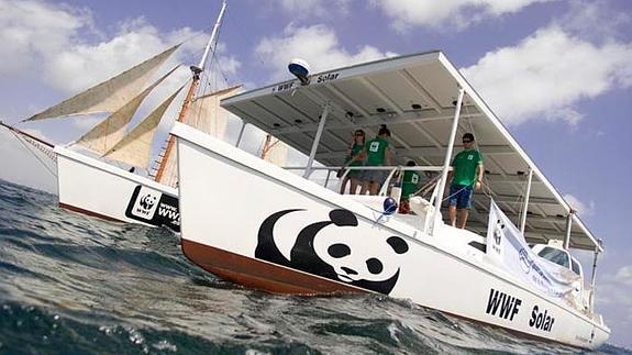 Atraca en Valencia el barco solar de WWF para concienciar del cambio climático