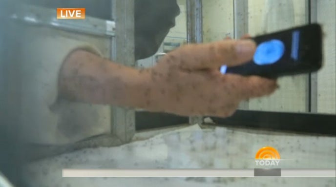 El reportero de la NBC News Kerry Sanders le hizo un test en directo a la aplicación y terminó con el brazo lleno de picaduras.