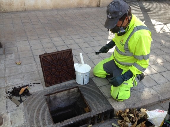 Operario de Lokímica pintando un imbornal donde se han detectado mosquitos. :: lp