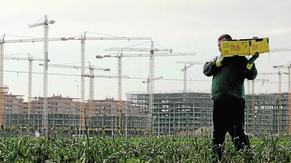 Grúas de la construcción en las proximidades de Valencia.