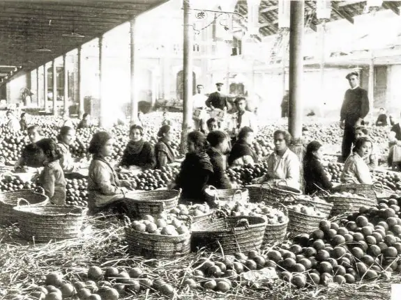 SELECCIÓN
Un grupo de mujeres eligen naranjas en el Almacén de la Ribera. :: Archivo del Ayuntamiento de carcaixent