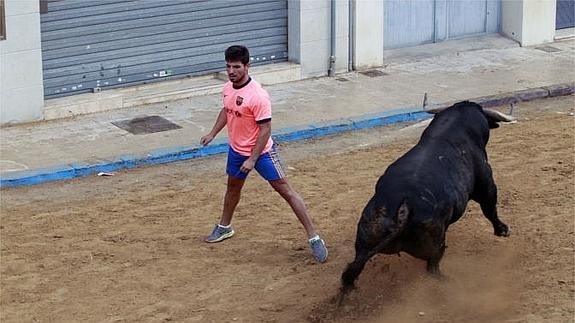 Bous al Carrer en Puzol.