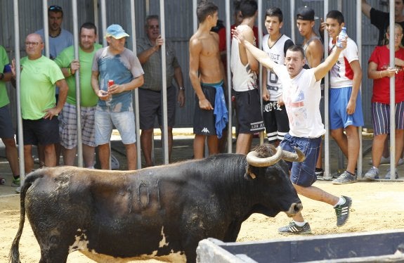 Un aficionado llama la atención de un toro.