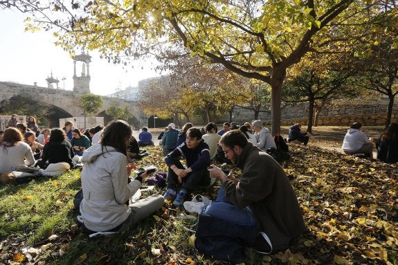 Algunos de los voluntarios que ya están en Valencia para el encuentro de jóvenes descansan en el cauce del río Turia. :: jesús signes