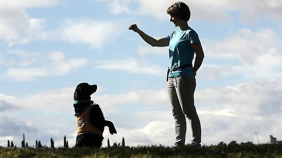 Naroa es una perra labradora de 7 años que, desde finales del pasado año, ayuda a los menores víctimas de violencia machista.