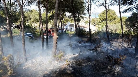 Unas brasas causan un incendio en una pinada de Xàbia