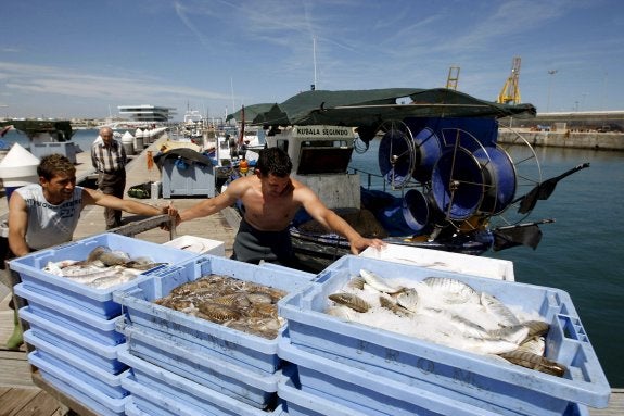 Pescadores de Valencia descargando la mercancía junto a la lonja. :: efe