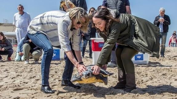 Tres tortugas recuperadas en el Oceanogràfic son devueltas al mar en El Saler
