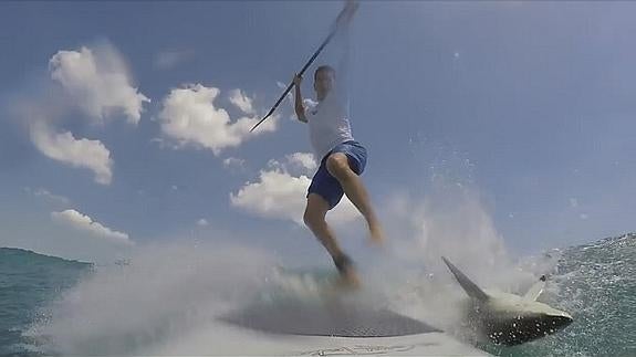 Un conocido surfista, derribado de su tabla por un tiburón