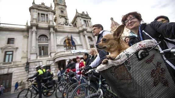 Una bicifestación toma las calles de Valencia