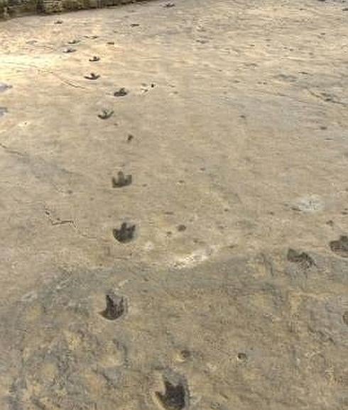 Conoce los dinosaurios desde cerca en Valencia