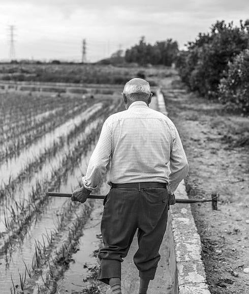 Jacinto es un agricultor valenciano que ha dedicado su vida la campo.