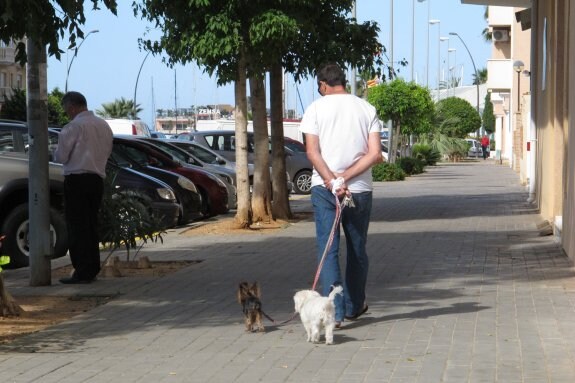 Un vecino de Dénia pasea con sus dos perros y lleva en la mano una bolsa para recoger los excrementos que puedan hacer sus mascotas. :: Tino Calvo