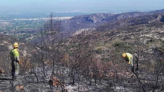 Así ha quedado Carcaixent después del incendio