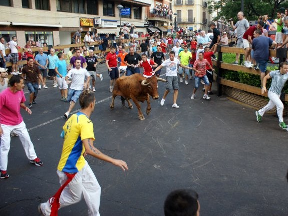  Pasión. Un instante de los bous en La Vall d'Uixó.  :: lp