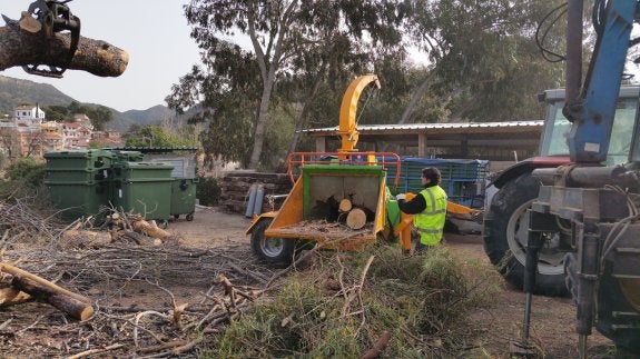 Un operario trabaja en la planta trituradora de Serra donde van a parar los restos de poda sin necesidad de quemarlos. 