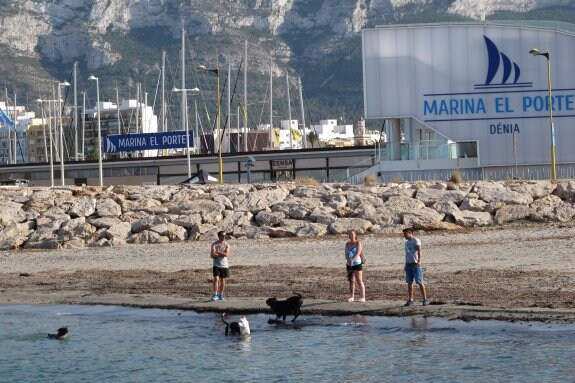 La playa para perros de Dénia, que pertenece a Puertos, y donde ya va la gente a llevar a sus mascotas. :: tino calvo