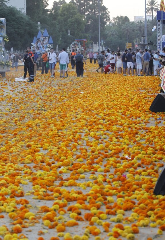 Clavelones inundan el recorrido de la Batalla de Flores del pasado año. :: J.MONZO