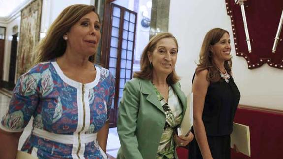 El Congreso rechaza que A la valenciana tenga grupo propio