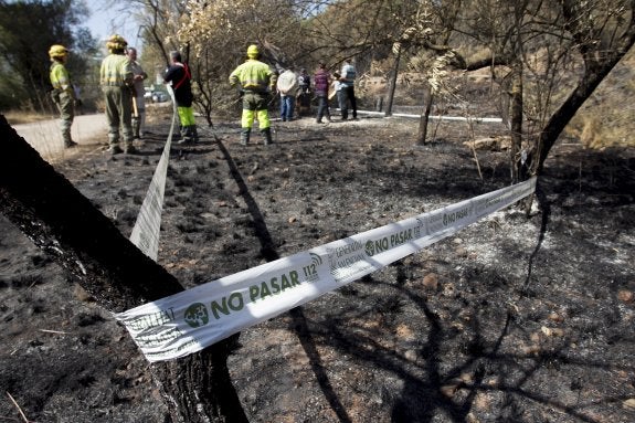 Brigadas forestales, en una de las zonas arrasadas por el fuego. :: EFE/Domenech Castelló